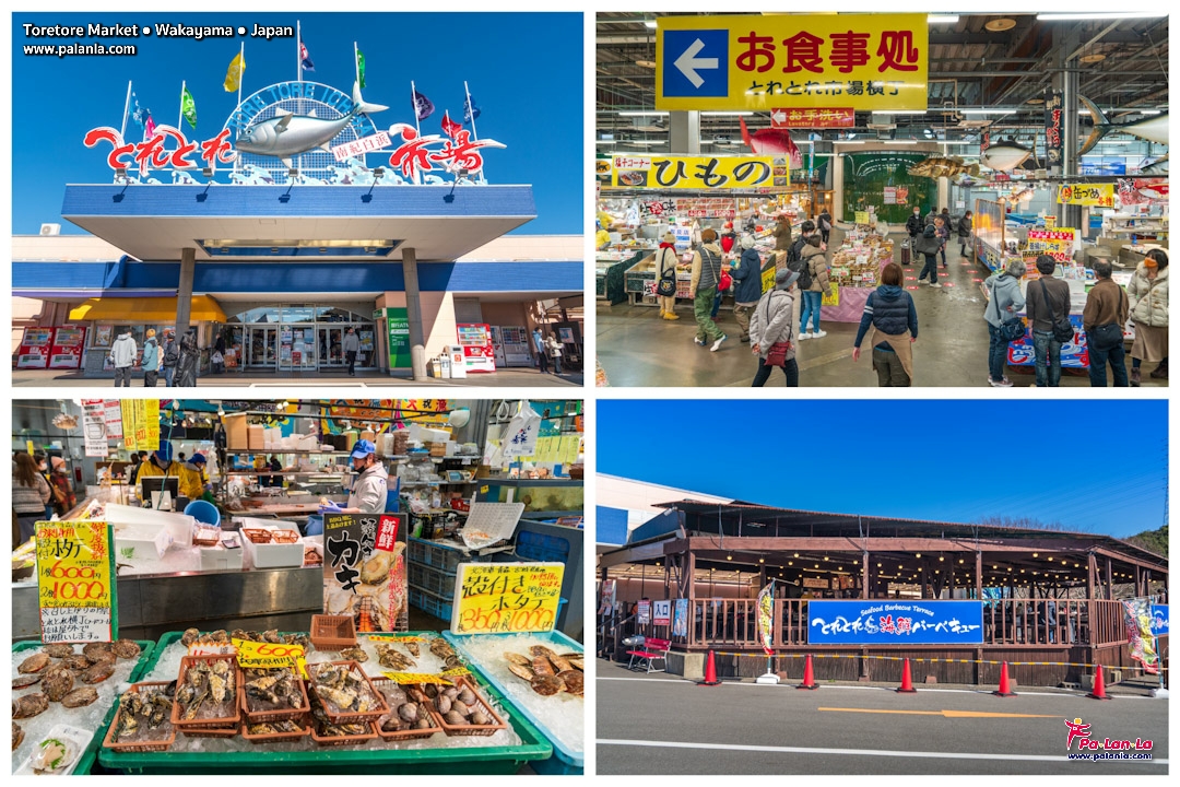 Top 9 Travel Destinations in Wakayama